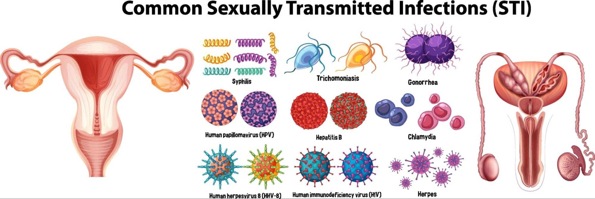 Sexually Transmitted Diseases in Singapore: The Ultimate Guide - Dr Ben